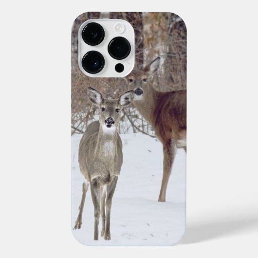 Witstaarthert  iPhone hoesje (Achterkant)