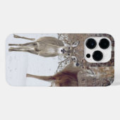 Witstaarthert  iPhone hoesje (Achterkant horizontaal)