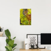 Witstaarthert kalf in Whitefish, Montana, VS Poster (Thuiskantoor)