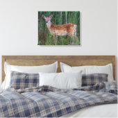 Witstaarthert | National Bison Range Montana Canvas Afdruk (Insitu (Slaapkamer))