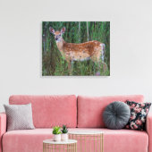 Witstaarthert | National Bison Range Montana Canvas Afdruk (Insitu (Woonkamer))