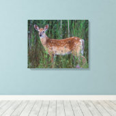 Witstaarthert | National Bison Range Montana Canvas Afdruk (Insitu (Houten vloer))