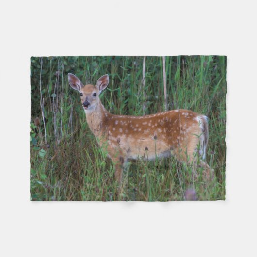 Witstaarthert | National Bison Range Montana Fleece Deken (Voorkant (Horizontaal))