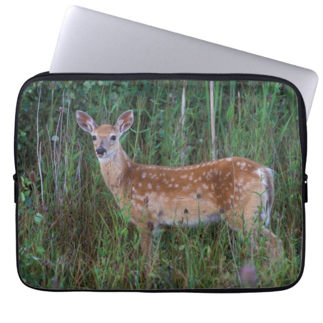 Witstaarthert | National Bison Range Montana Laptop Sleeve (Voorkant)