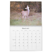 Witstaarthert Natuurkalender Kalender (Mar 2027)