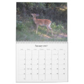 Witstaarthert Natuurkalender Kalender (Jan 2027)