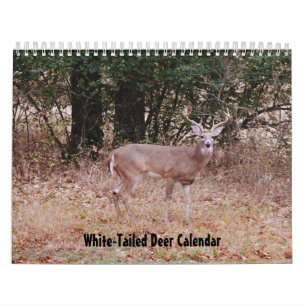 Witstaarthert Natuurkalender Kalender