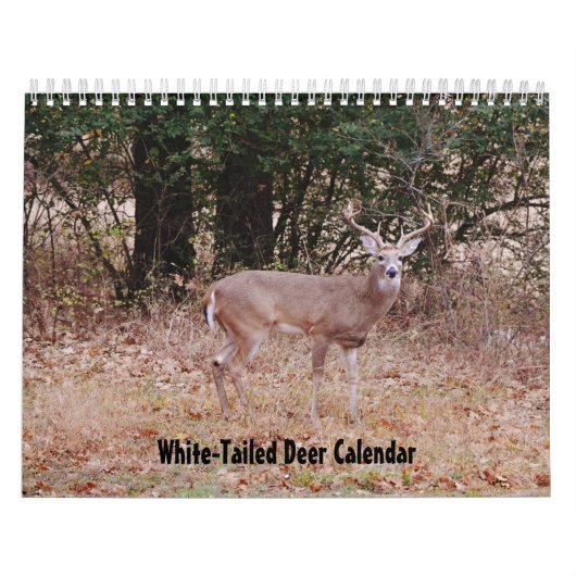 Witstaarthert Natuurkalender Kalender (Hoes)