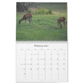 Witstaarthert Natuurkalender Kalender (Feb 2027)
