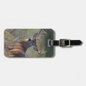 witstaarthert Odocoileus virginianus Bagagelabel (Voorkant horizontaal)
