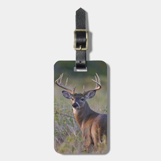 witstaarthert Odocoileus virginianus Bagagelabel (Voorkant verticaal)