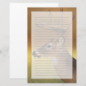 Witstaarthert, Odocoileus virginianus, Briefpapier (Voorkant / Achterkant)