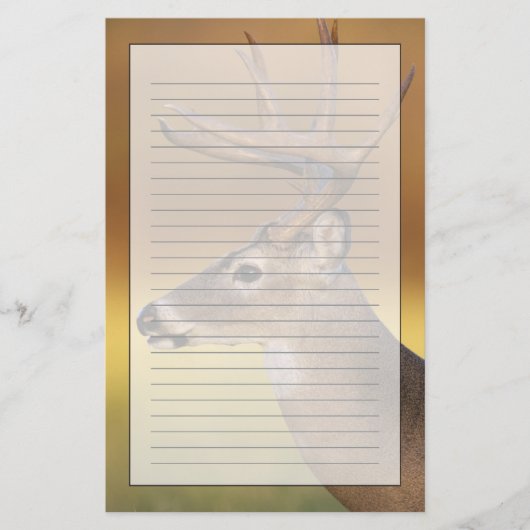 Witstaarthert, Odocoileus virginianus, Briefpapier (Voorkant)