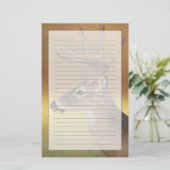 Witstaarthert, Odocoileus virginianus, Briefpapier (Staand voorkant)