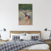 witstaarthert Odocoileus virginianus Canvas Afdruk (Insitu (Slaapkamer))