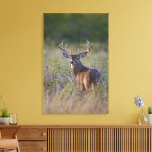 witstaarthert Odocoileus virginianus Canvas Afdruk (Insitu (Woonkamer))