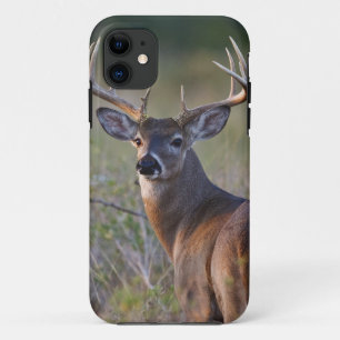 witstaarthert Odocoileus virginianus iPhone 11 Hoesje