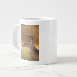 Witstaarthert, Odocoileus virginianus, Grote Koffiekop
