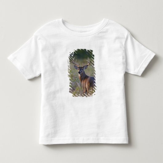 witstaarthert Odocoileus virginianus Kinder Shirts (Voorkant)