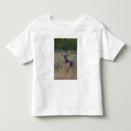 witstaarthert Odocoileus virginianus Kinder Shirts (Voorkant)