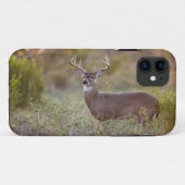 witstaarthert (Odocoileus virginianus) mannetje 2 Case-Mate iPhone Case (Achterkant (horizontaal))
