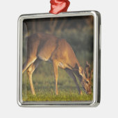 Witstaarthert, Odocoileus virginianus Metalen Ornament (Links)
