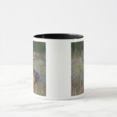 witstaarthert Odocoileus virginianus Mok (Midden)