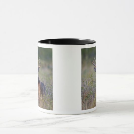 witstaarthert Odocoileus virginianus Mok (Midden)