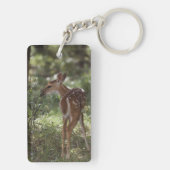 Witstaarthert, Odocoileus virginianus Sleutelhanger (achterkant)
