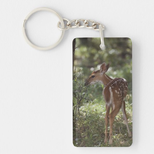 Witstaarthert, Odocoileus virginianus Sleutelhanger (Voorkant)