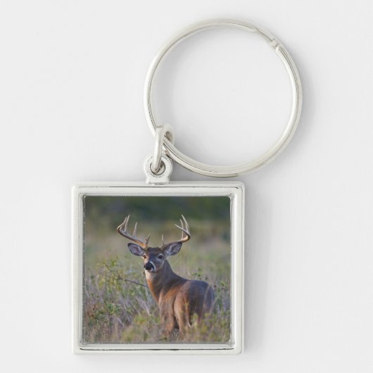 witstaarthert Odocoileus virginianus Sleutelhanger (Voorkant)