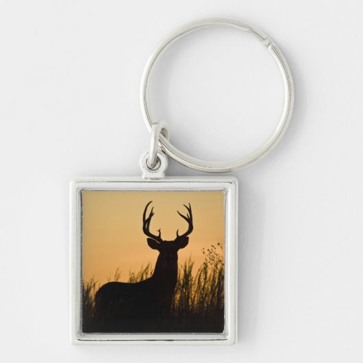 witstaarthert (Odocoileus virginianus) Sleutelhanger (Voorkant)
