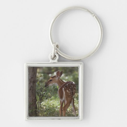 Witstaarthert, Odocoileus virginianus Sleutelhanger (Voorkant)