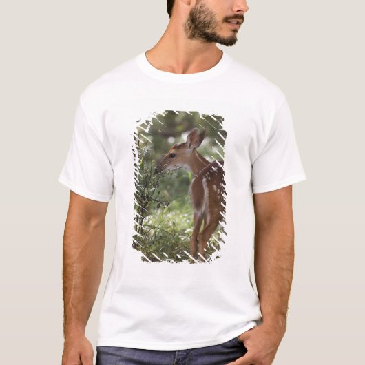 Witstaarthert, Odocoileus virginianus T-shirt (Voorkant)