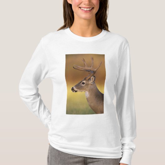 Witstaarthert, Odocoileus virginianus, T-shirt (Voorkant)