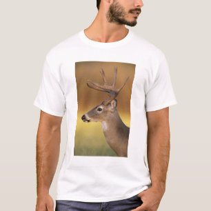 Witstaarthert, Odocoileus virginianus, T-shirt