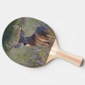 witstaarthert Odocoileus virginianus Tafeltennisbatje (Zijkant)