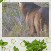 witstaarthert Odocoileus virginianus Theedoek (Gevouwen)