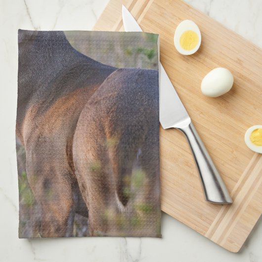 witstaarthert Odocoileus virginianus Theedoek (Quarter Fold)