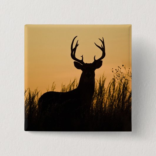 witstaarthert (Odocoileus virginianus) Vierkante Button 5,1 Cm (Voorkant)