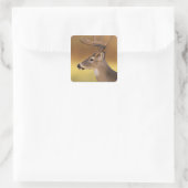 Witstaarthert, Odocoileus virginianus, Vierkante Sticker (Tas)