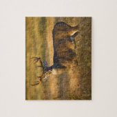 Witstaarthert (Odocoileus virginianus) volwassen Legpuzzel (Verticaal)