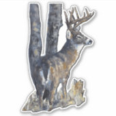 Witstaarthert sticker (Voorkant)