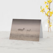 Witstaarthert - Stille Winterochtend Kaart (Gele Bloem)