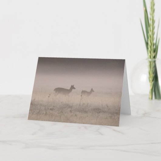 Witstaarthert - Stille Winterochtend Kaart (Voorkant)