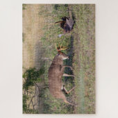 Witstaarthert vecht met wilde kalkoen legpuzzel (Verticaal)