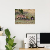 Witstaarthert vechtend met wilde kalkoen poster (Thuiskantoor)