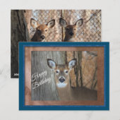 Witstaarthert Verjaardag Briefkaart (Voorkant / Achterkant)