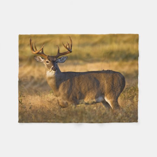 Witstaarthert | Zuid-Texas Fleece Deken (Voorkant (Horizontaal))