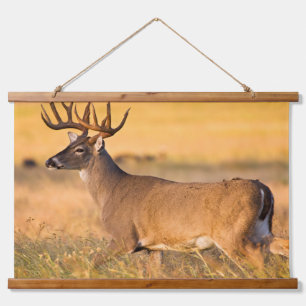 Witstaarthert   Zuid-TX Hangend Wandkleed